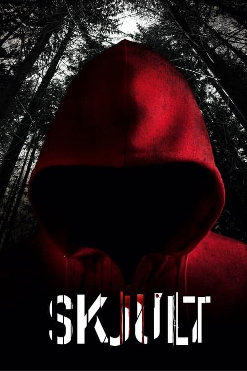 Hidden - Lass die Vergangenheit ruhen poster