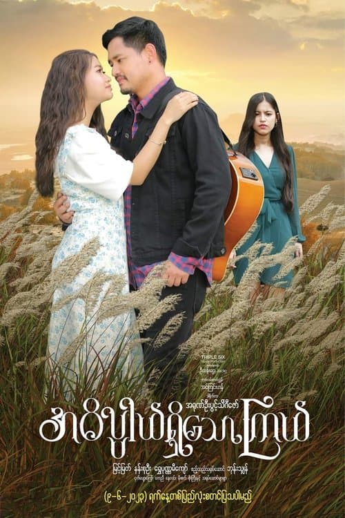 အဓိပ္ပါယ်ရှိသောကြယ် poster
