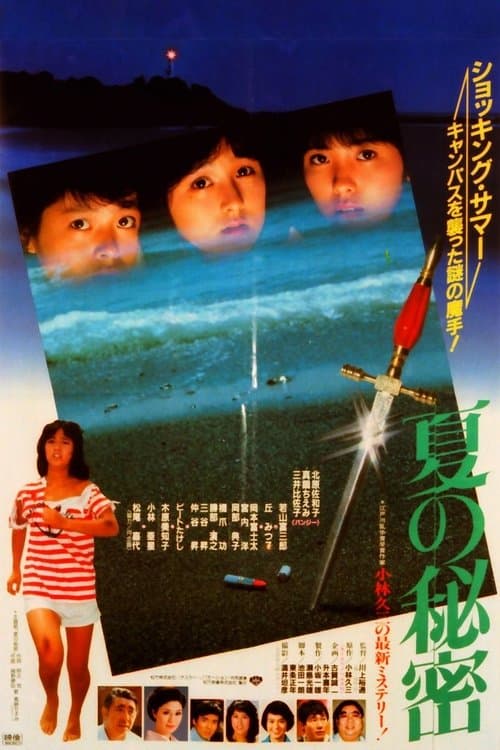 夏の秘密 poster