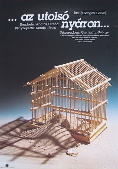 Az utolsó nyáron poster