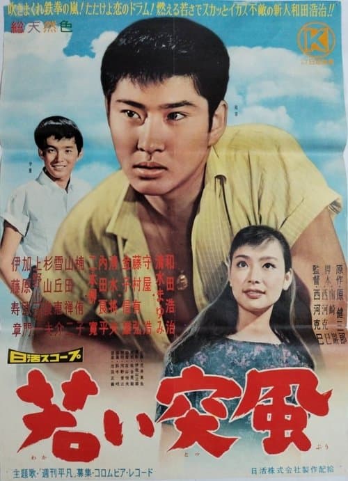 若い突風 poster