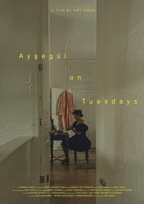 Ayşegül on Tuesdays poster