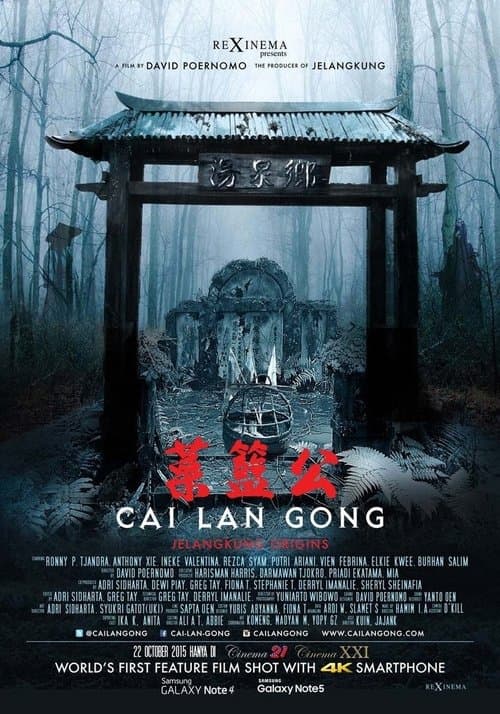 菜籃公 poster