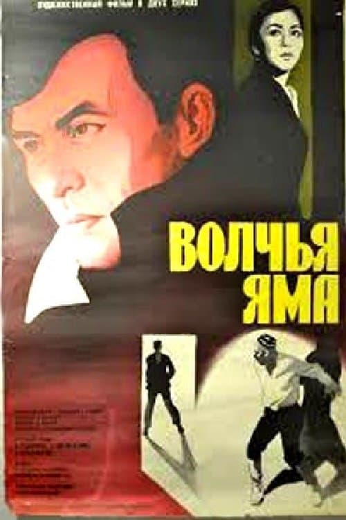 Бөрү зындан poster