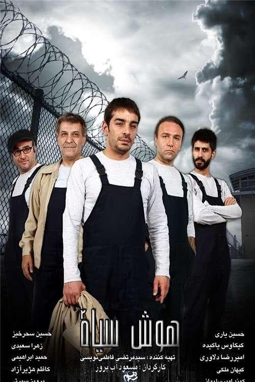 هوش سیاه poster