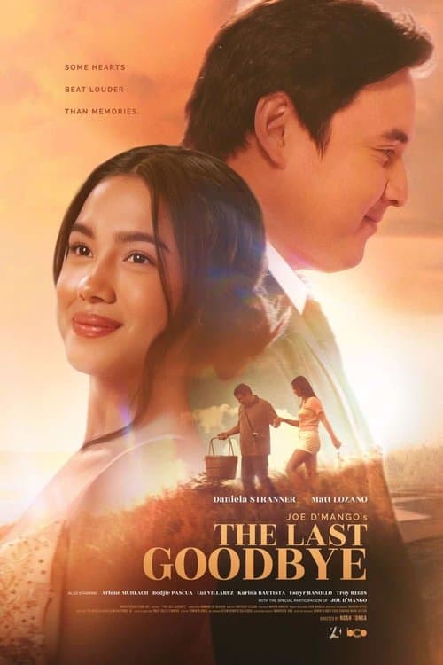 The Last Goodbye poster