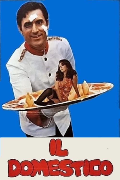 Il domestico poster