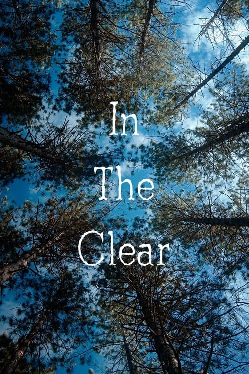 In the Clear poster