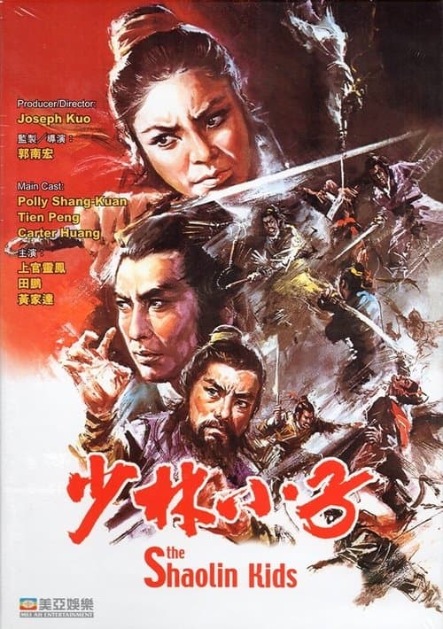 少林小子 poster