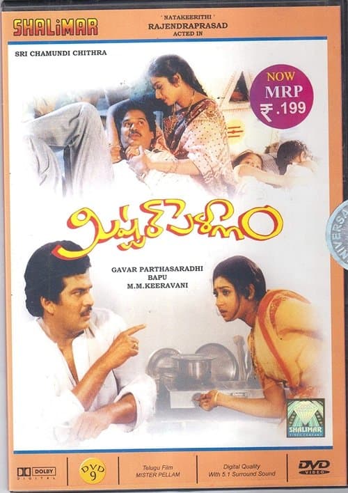 మిస్టర్ పెళ్ళాం poster
