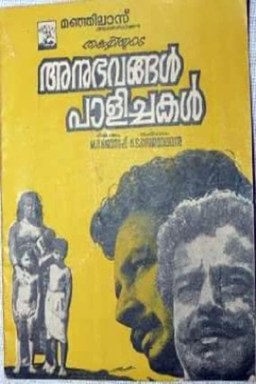 അനുഭവങ്ങൾ പാളിച്ചകൾ poster