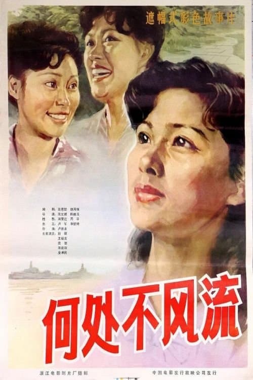 何处不风流 poster