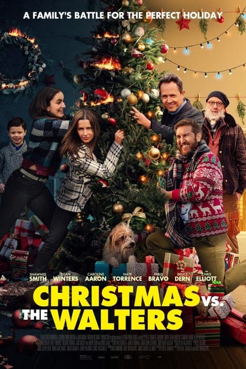 Christmas vs. The Walters poster