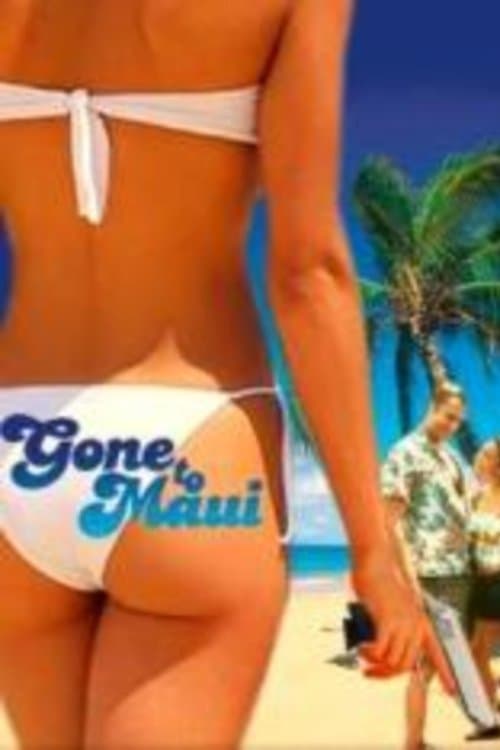 Zwei Supertrottel auf Hawaii poster