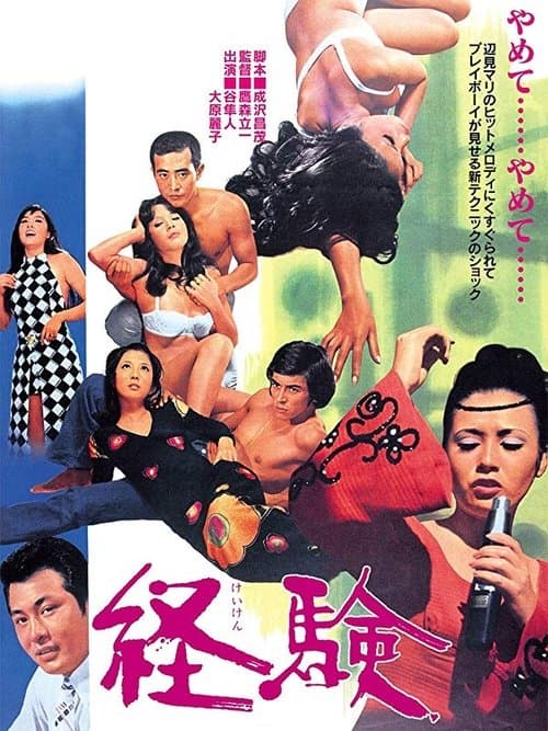 経験 poster