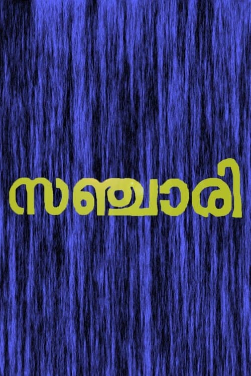 സഞ്ചരി poster