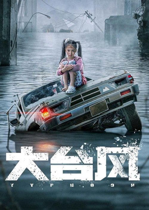 大台风 poster