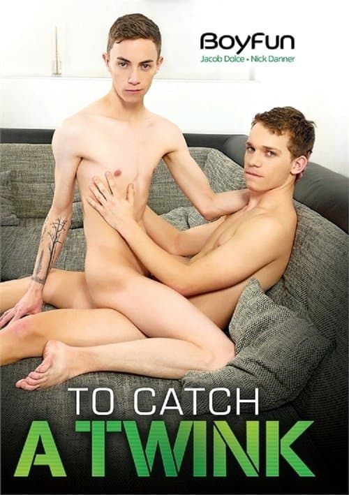 To Catch a Twink poster