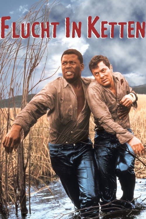Flucht in Ketten poster
