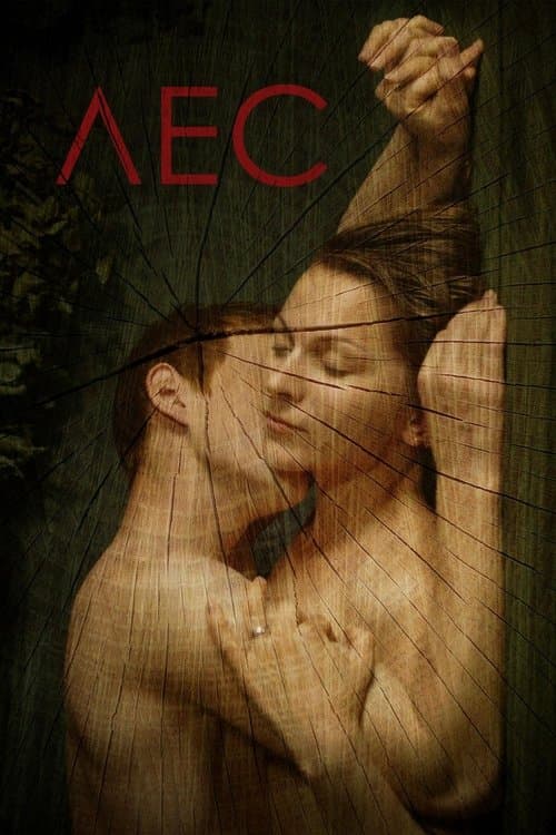 Лес poster