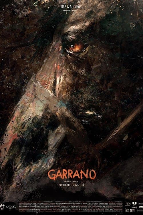 Garrano poster