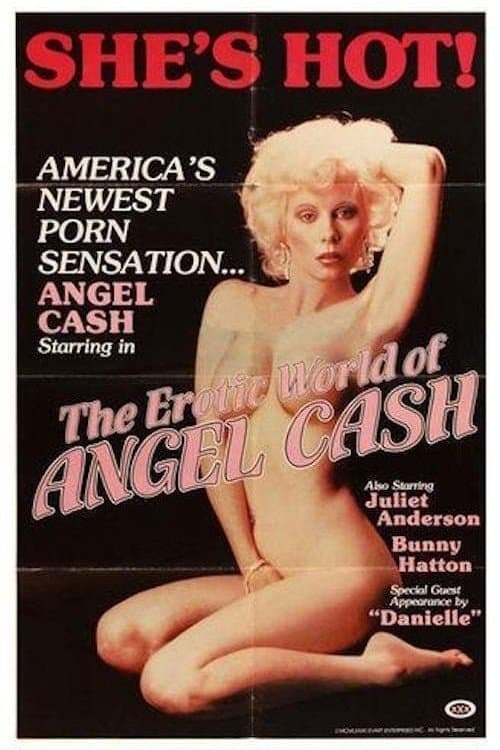 The Erotic World of Angel Cash poster
