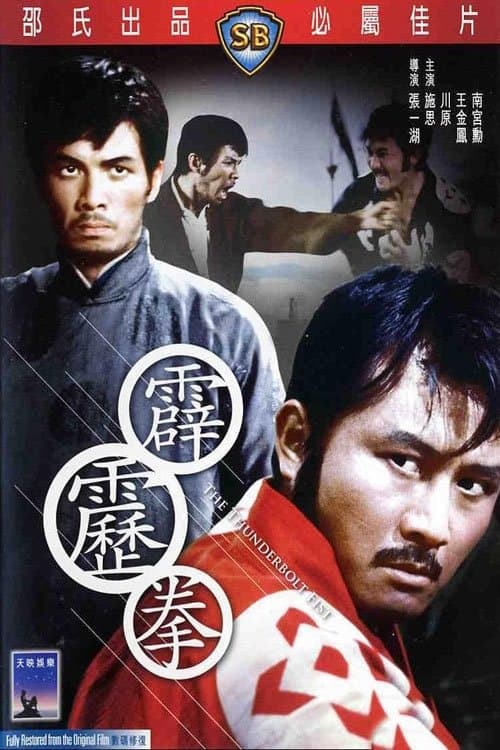 霹靂拳 poster