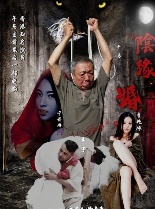 阴缘婚 poster