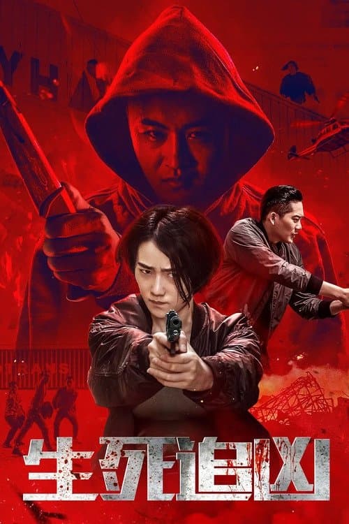 生死追凶 poster