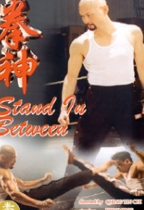 拳神 poster