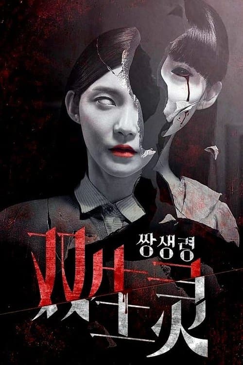 双生灵 poster