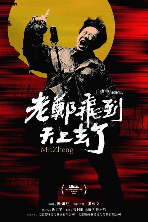 老郑飞到天上去了 poster