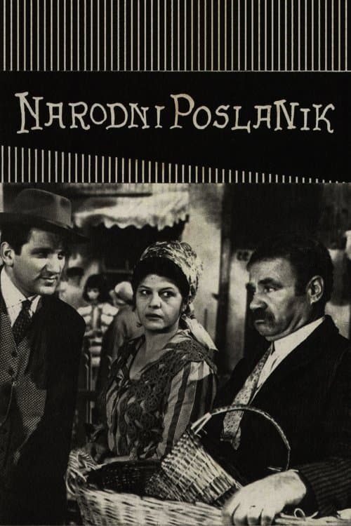 Народни посланик poster