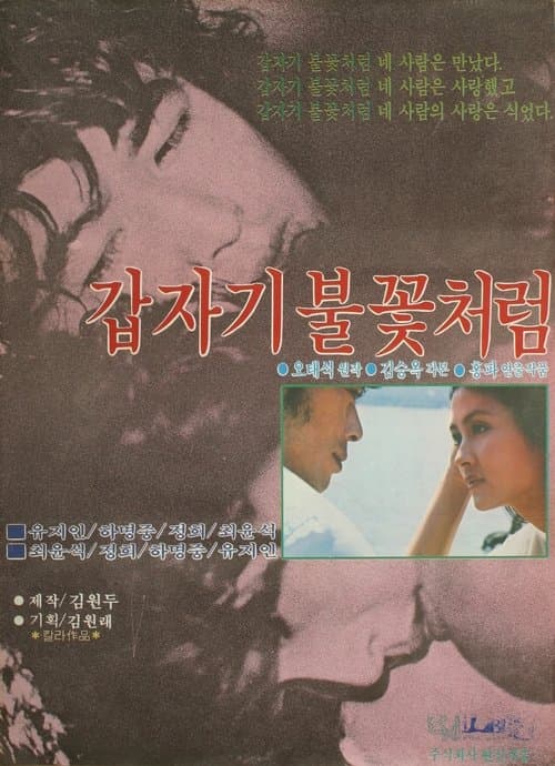 갑자기 불꽃처럼 poster