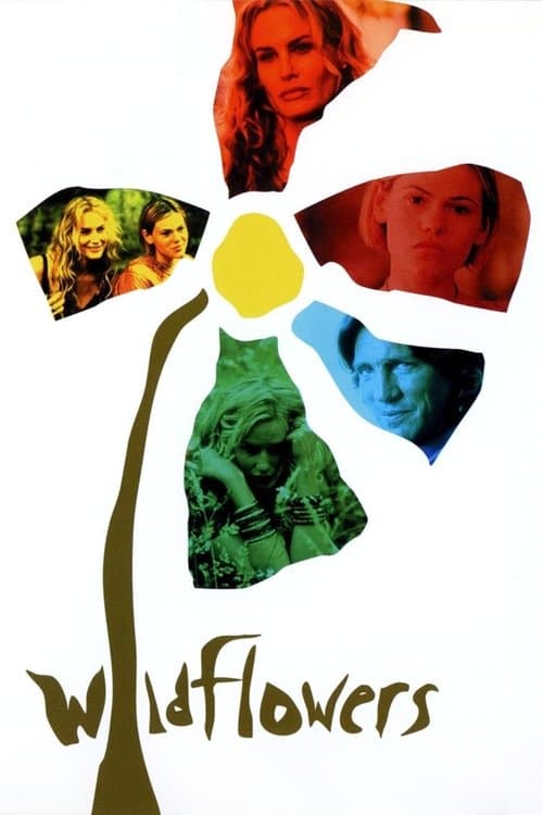 Wildflowers - Geheimnisvoller Sommer poster