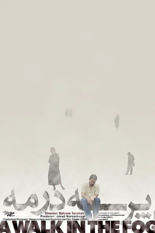 پرسه در مه poster