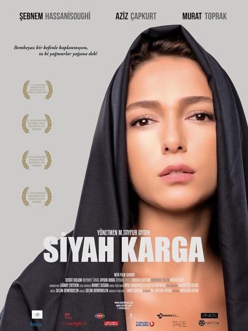 Siyah Karga poster