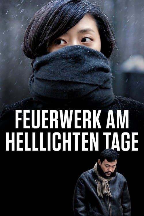 Feuerwerk am helllichten Tage poster