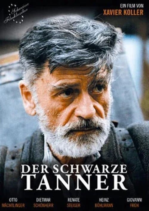Der schwarze Tanner poster