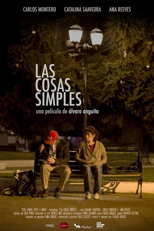 Las cosas simples poster