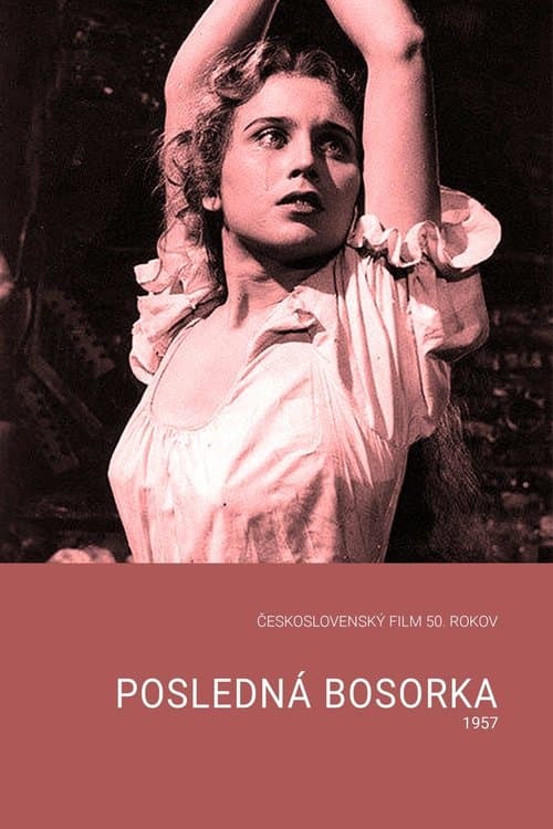 Posledná bosorka poster