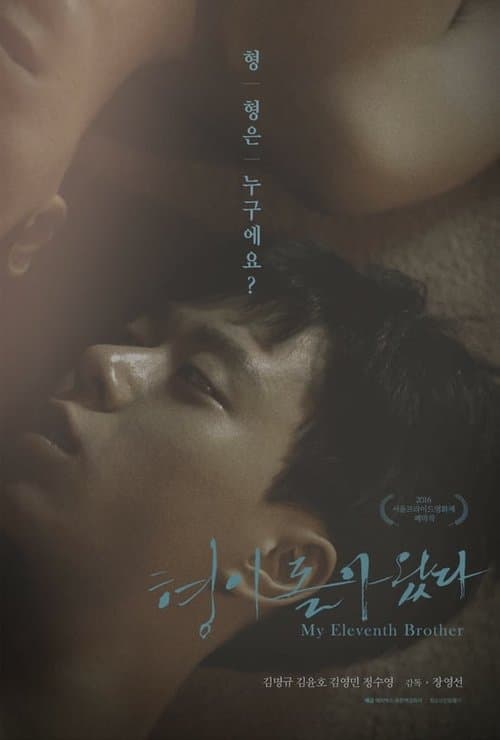 형이 돌아왔다 poster