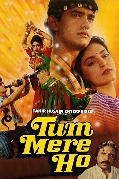 तुम मेरे हो poster