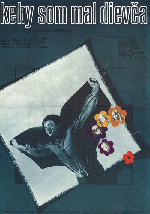 Keby som mal dievča poster