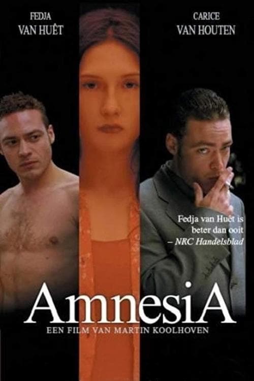 AmnesiA poster