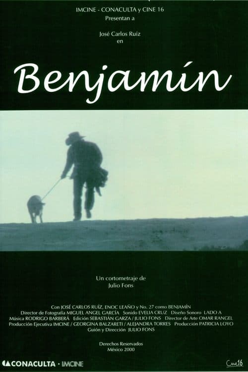 Benjamín poster