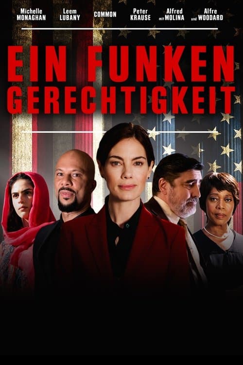 Ein Funken Gerechtigkeit poster