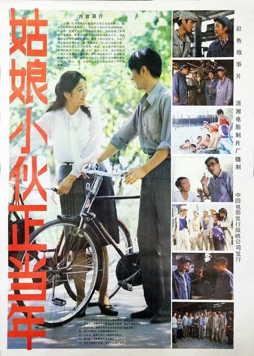 姑娘小伙正当年 poster