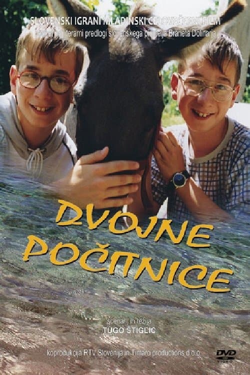 Dvojne počitnice poster