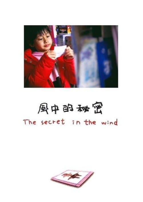 風中的秘密 poster
